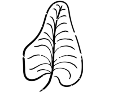 categories-icon-1